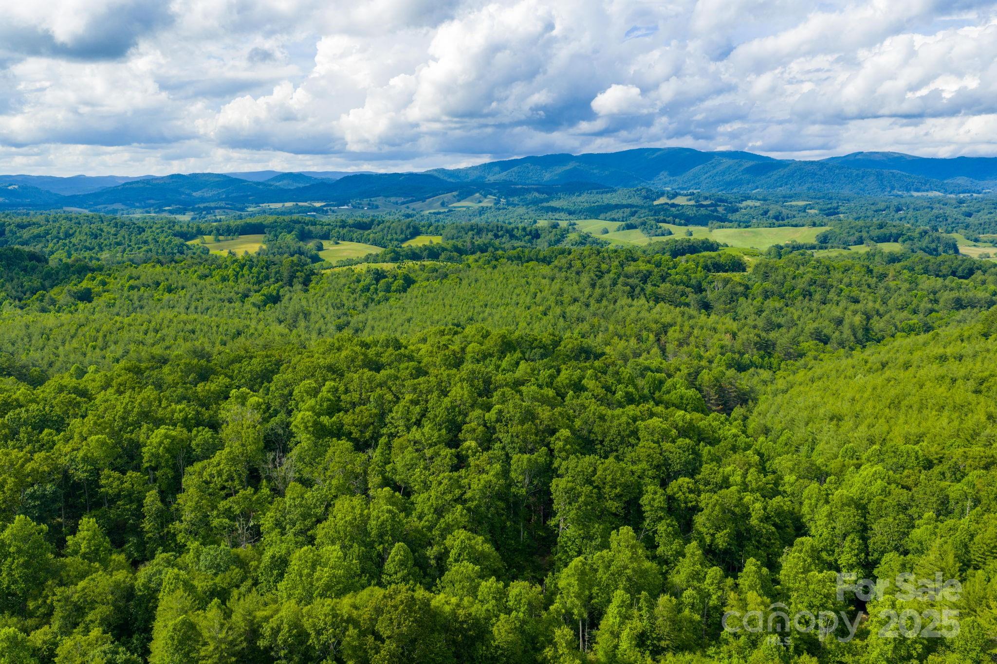 Tbd Phipps Dairy Road Property Photo 30