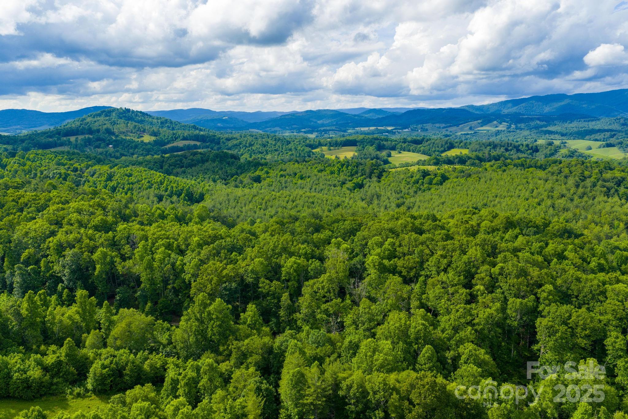 Tbd Phipps Dairy Road Property Photo 31