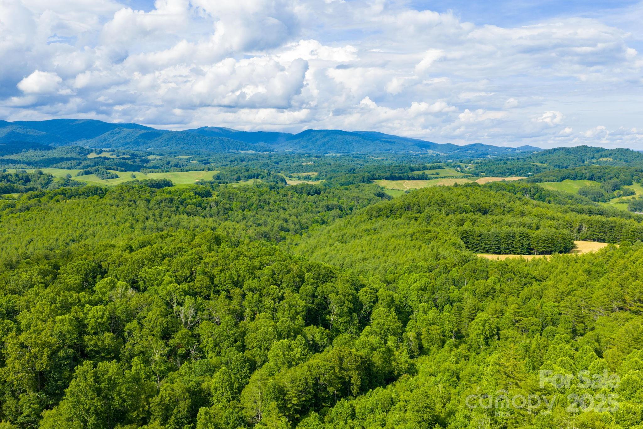 Tbd Phipps Dairy Road Property Photo 32