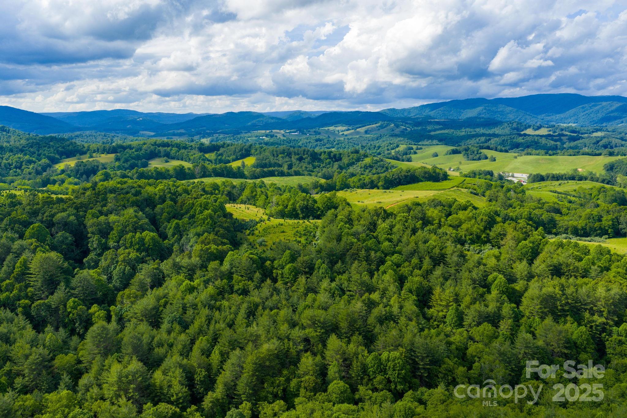 Tbd Phipps Dairy Road Property Photo 33