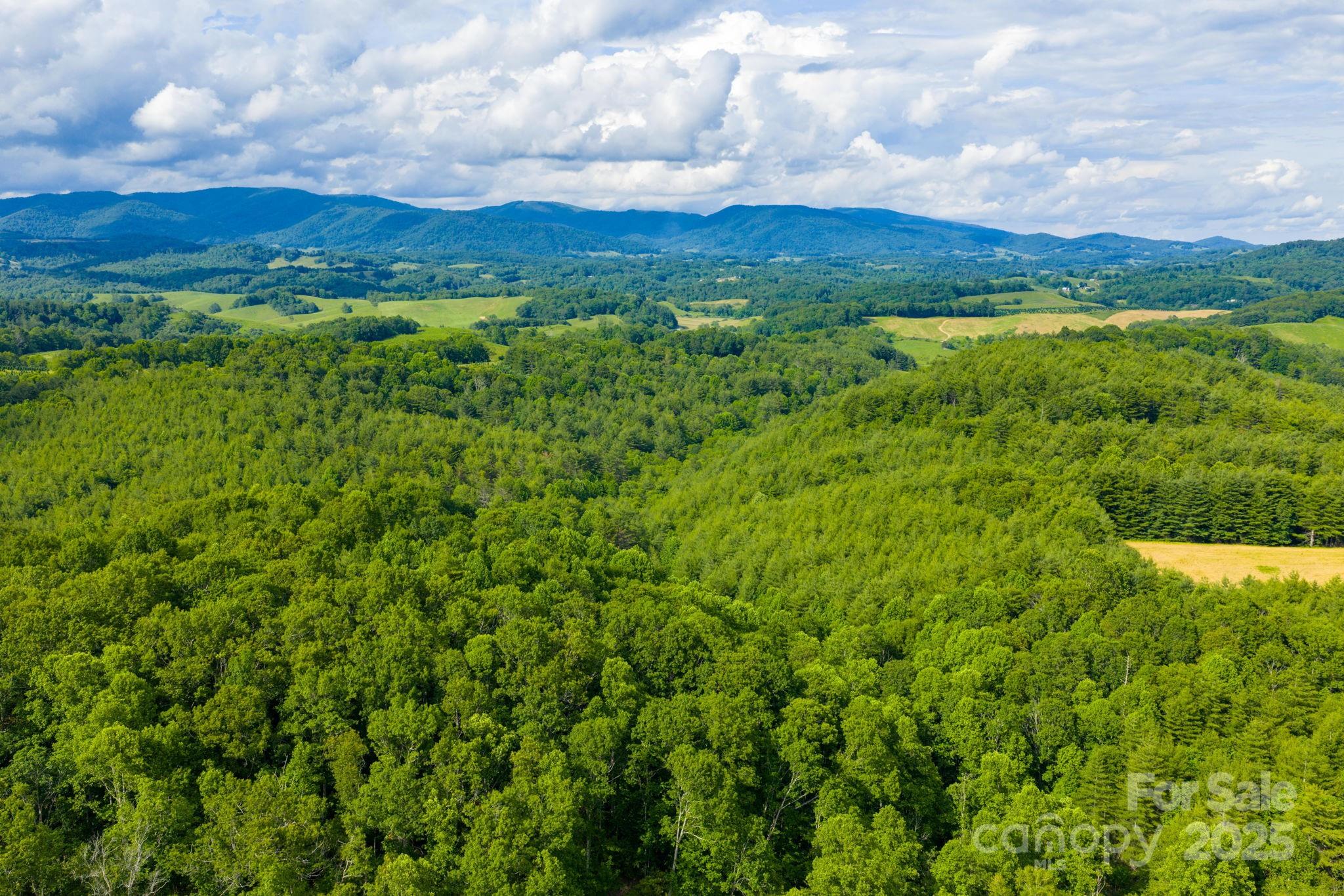 Tbd Phipps Dairy Road Property Photo 34