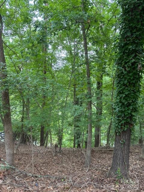 10046 Tepa Place Property Photo 1