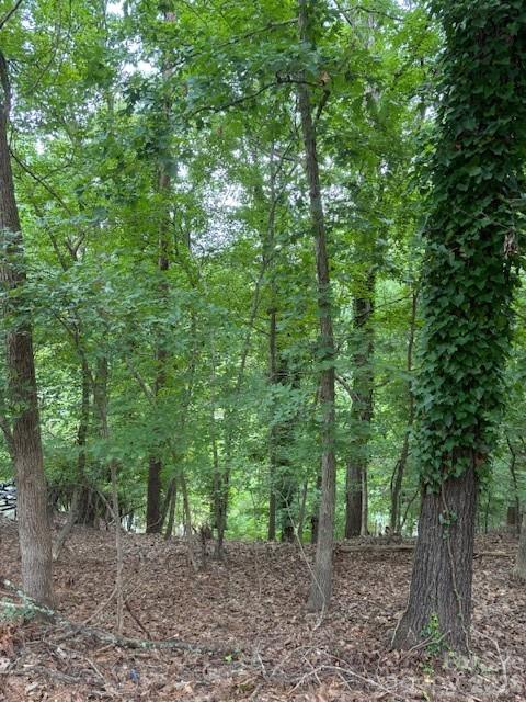 10045 Tepa Place Property Photo 1