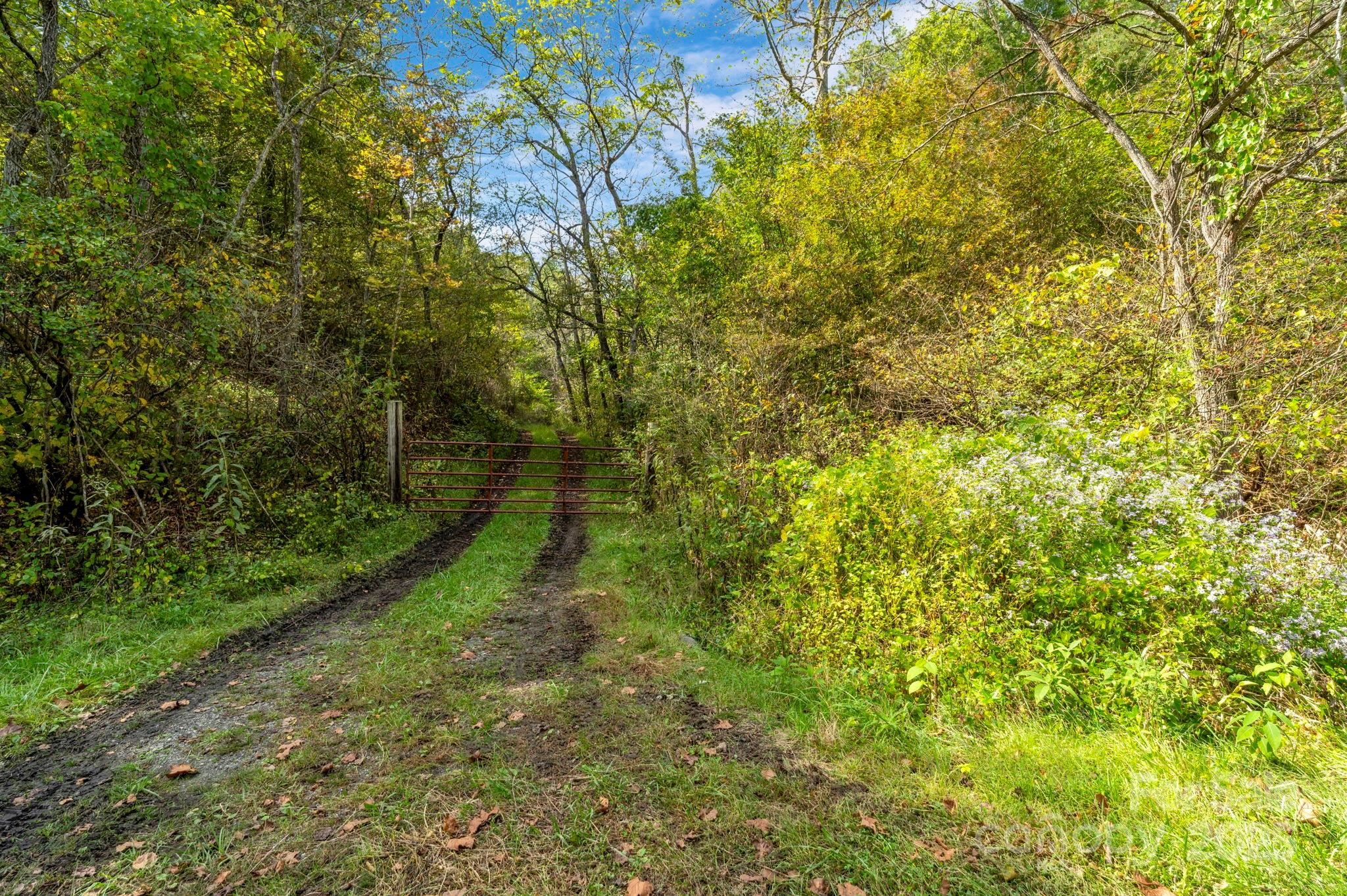 3319 Bull Creek Road Property Photo 45