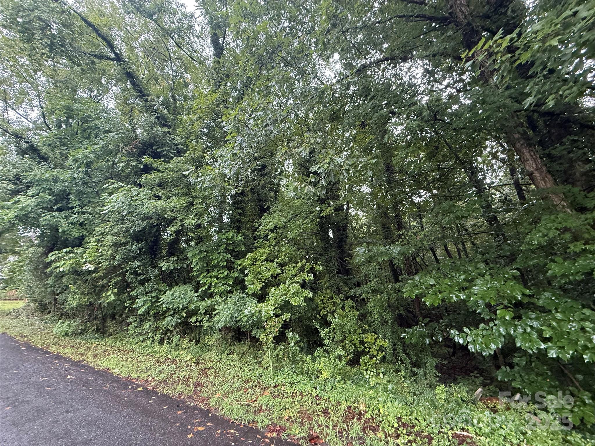 10115 Nomad Drive Property Photo 1