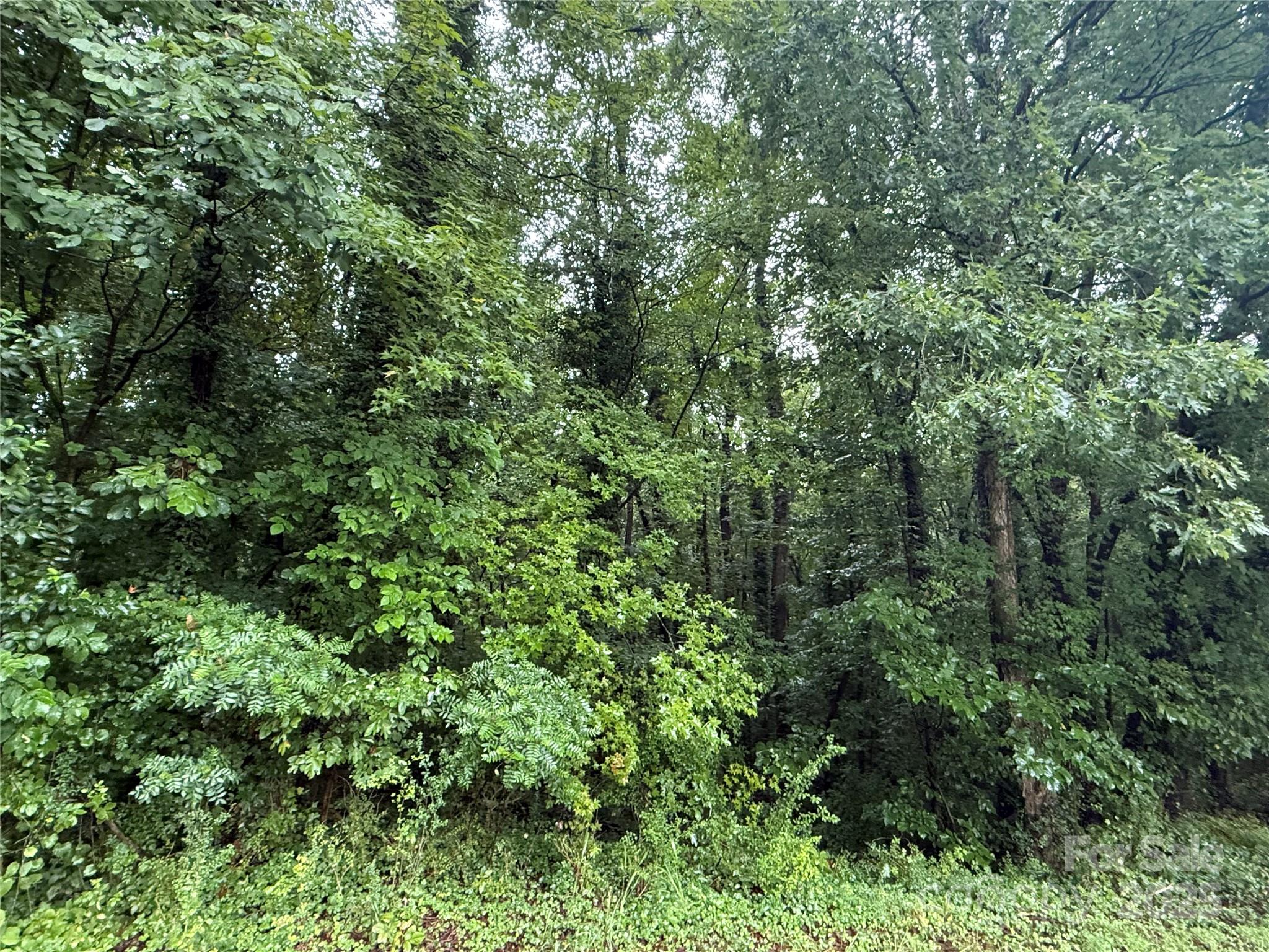 10115 Nomad Drive Property Photo 2