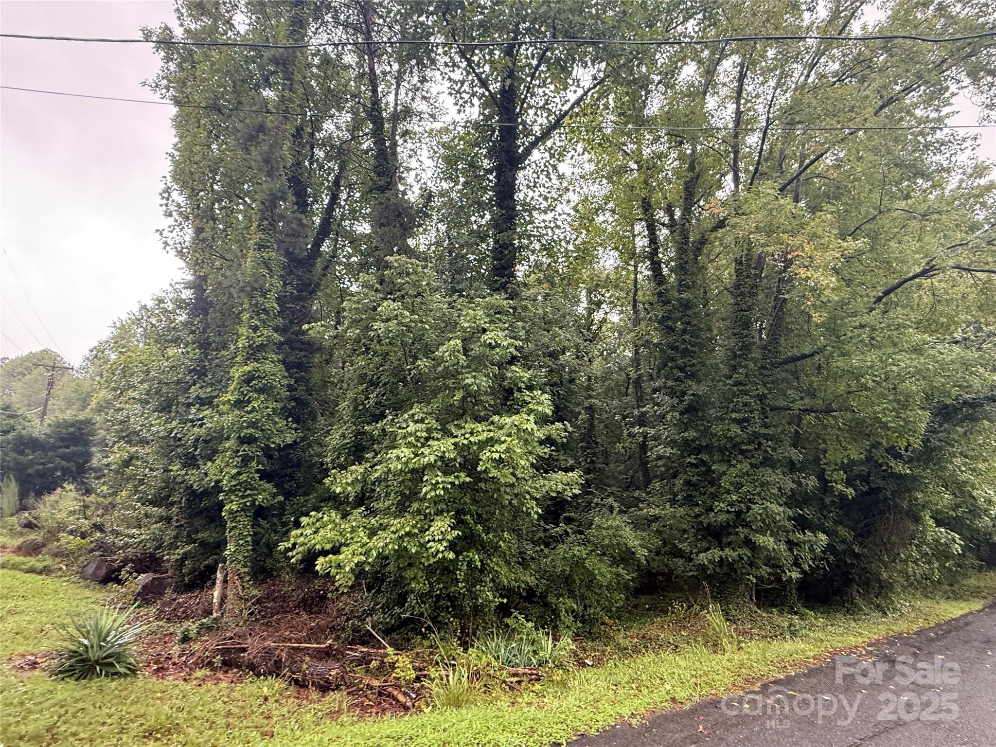 10115 Nomad Drive Property Photo 3