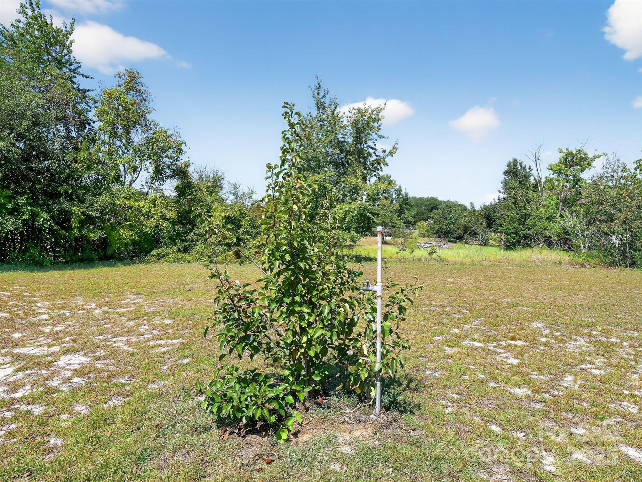 1035 Mcmillan Road Property Photo 26