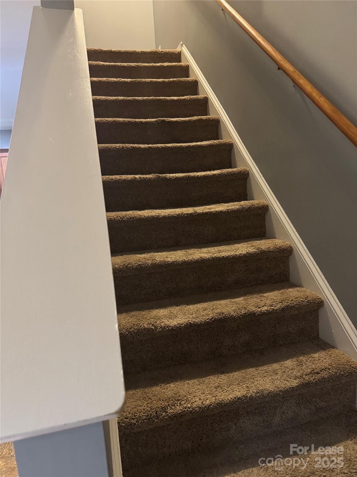 5919 Fazenda Drive Property Photo 10