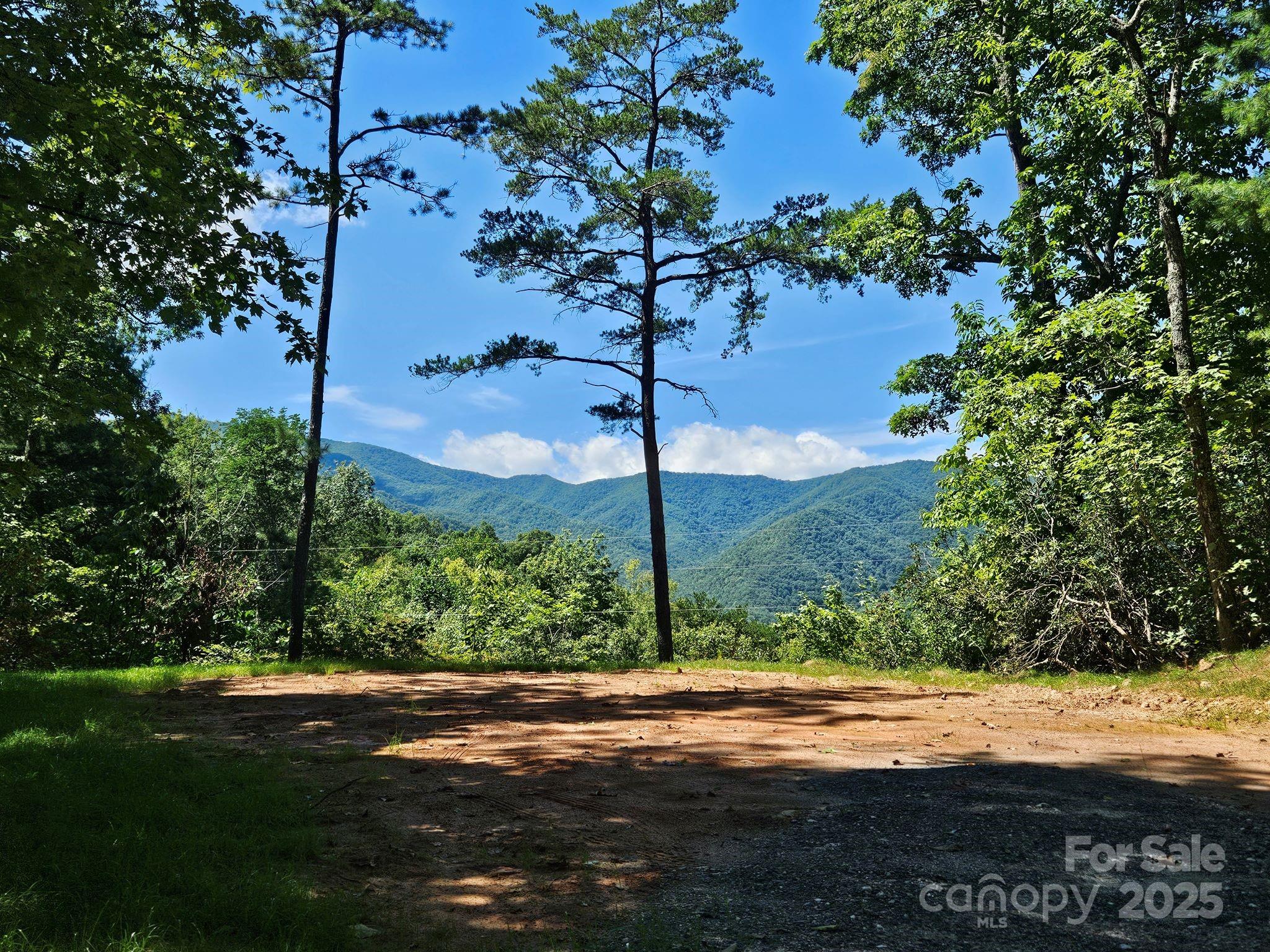 0 Blue Vista Road 1 Property Photo 1