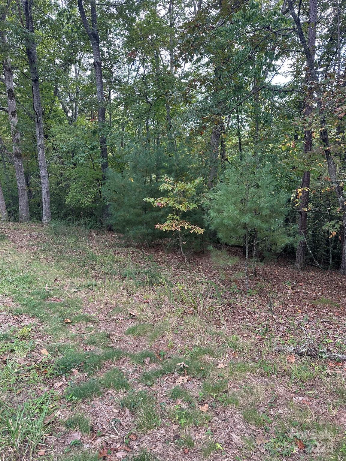 00 Pleasant Hill Road Property Photo 1