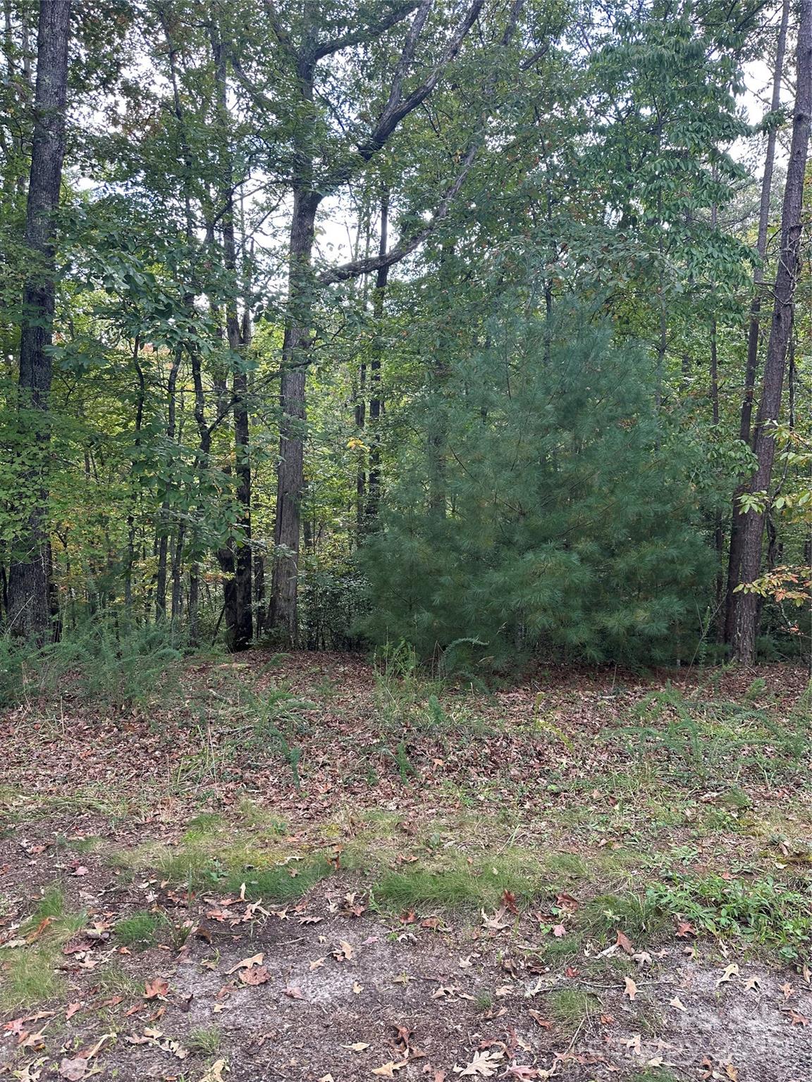 00 Pleasant Hill Road Property Photo 2