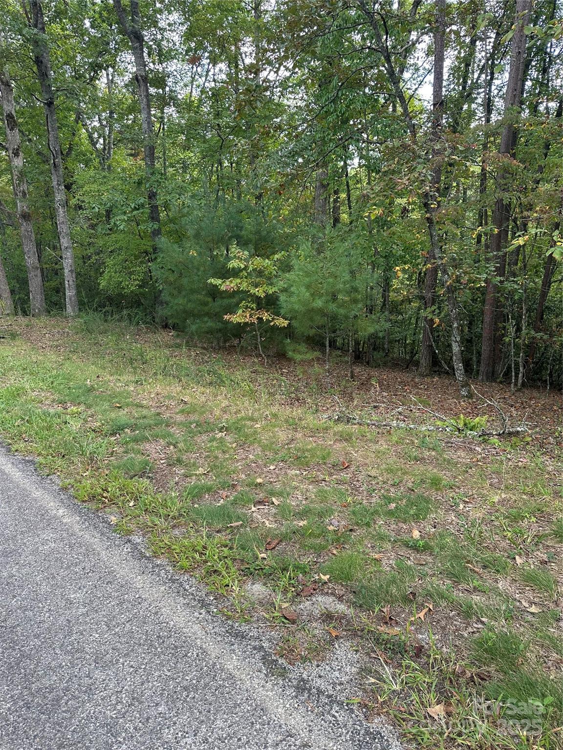00 Pleasant Hill Road Property Photo 3