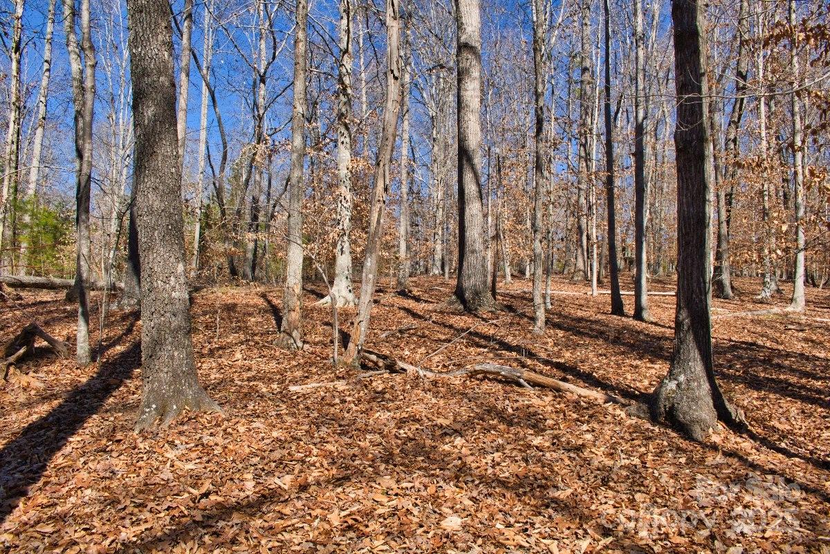 0 Cinnamon Ridge 404 Property Photo 1