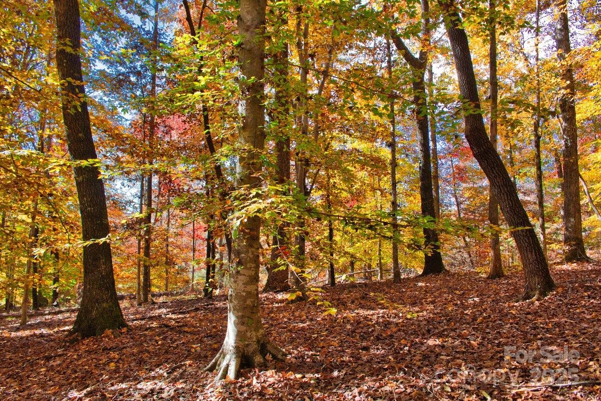 0 Cinnamon Ridge 404 Property Photo 6