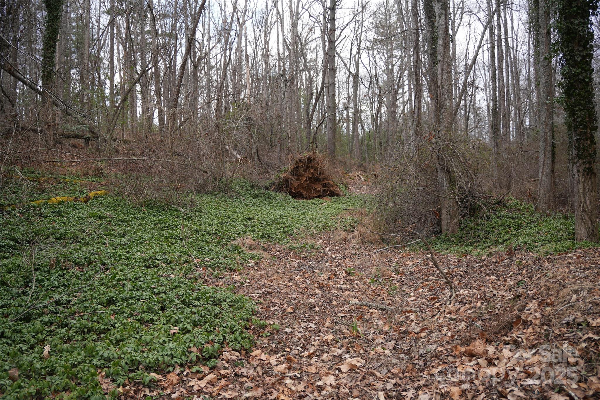 741 Glenn Bridge Road Property Photo 1