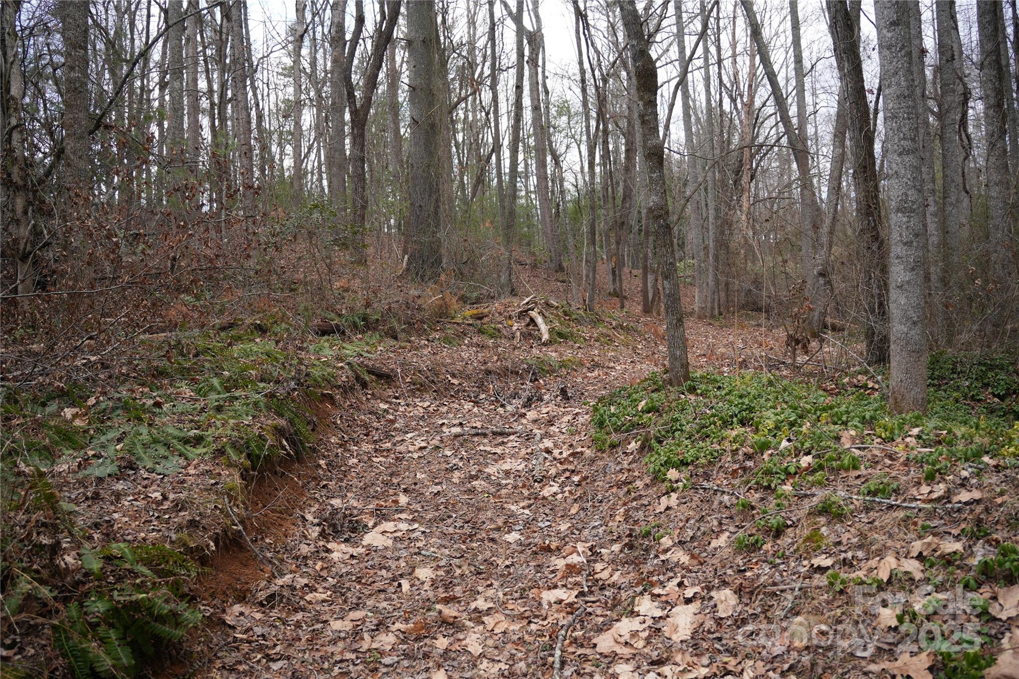 741 Glenn Bridge Road Property Photo 2