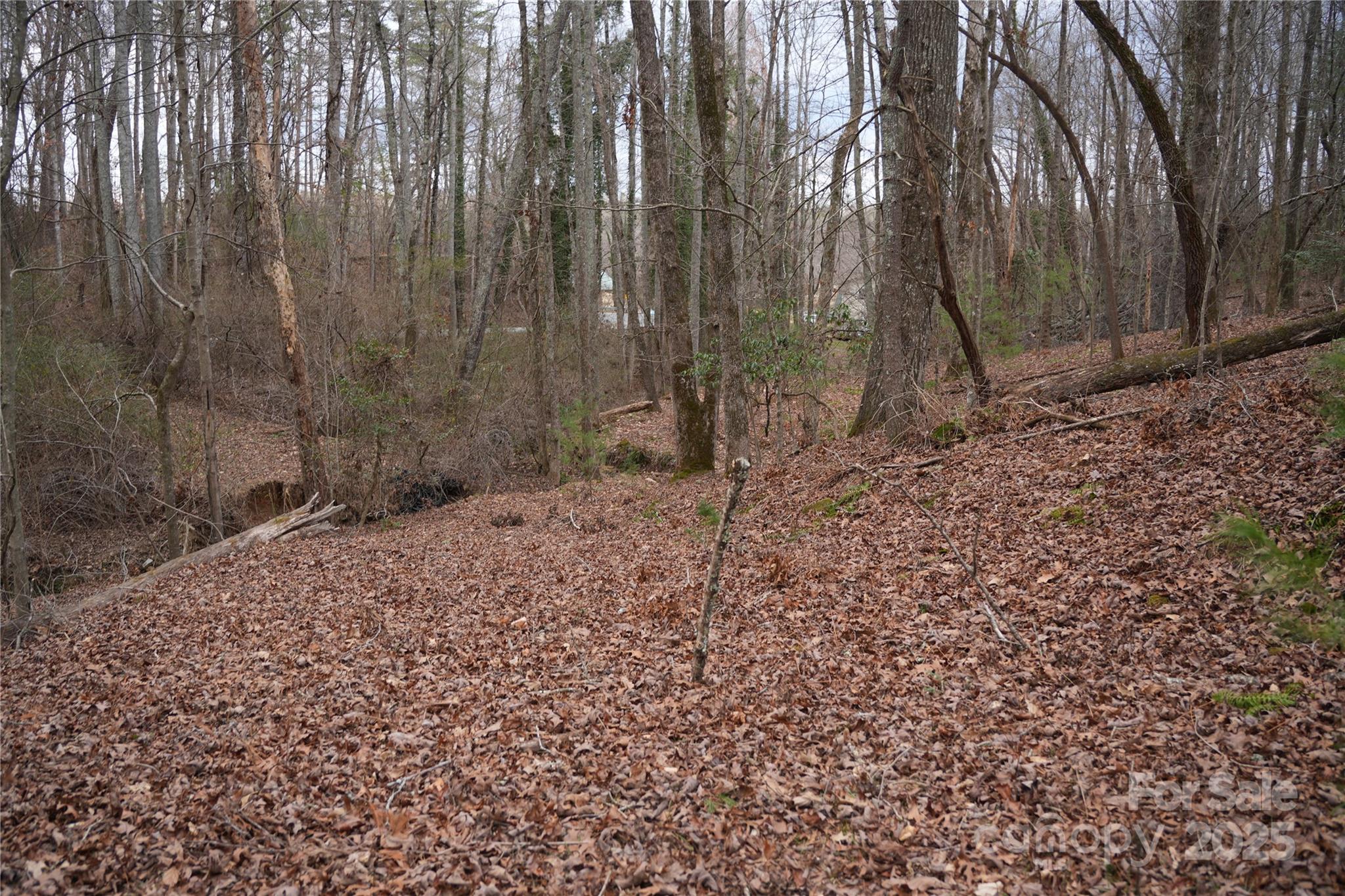 741 Glenn Bridge Road Property Photo 3