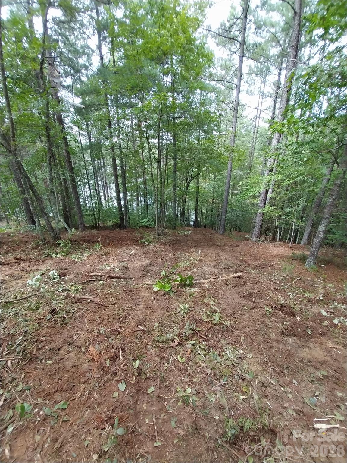2254 Anchor Lane 110 Property Photo 13
