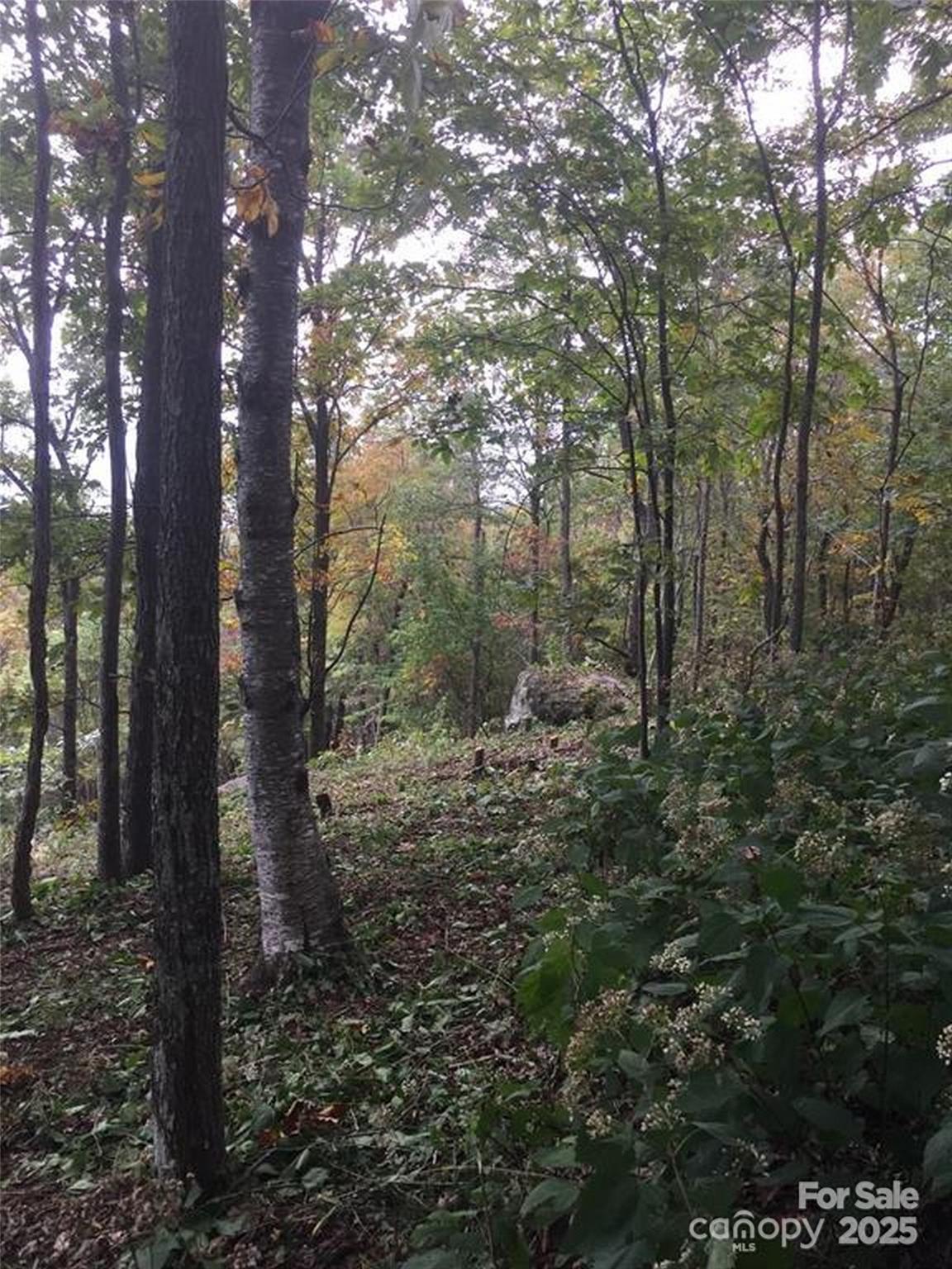 00 Morning Ride Drive 38 Property Photo 8