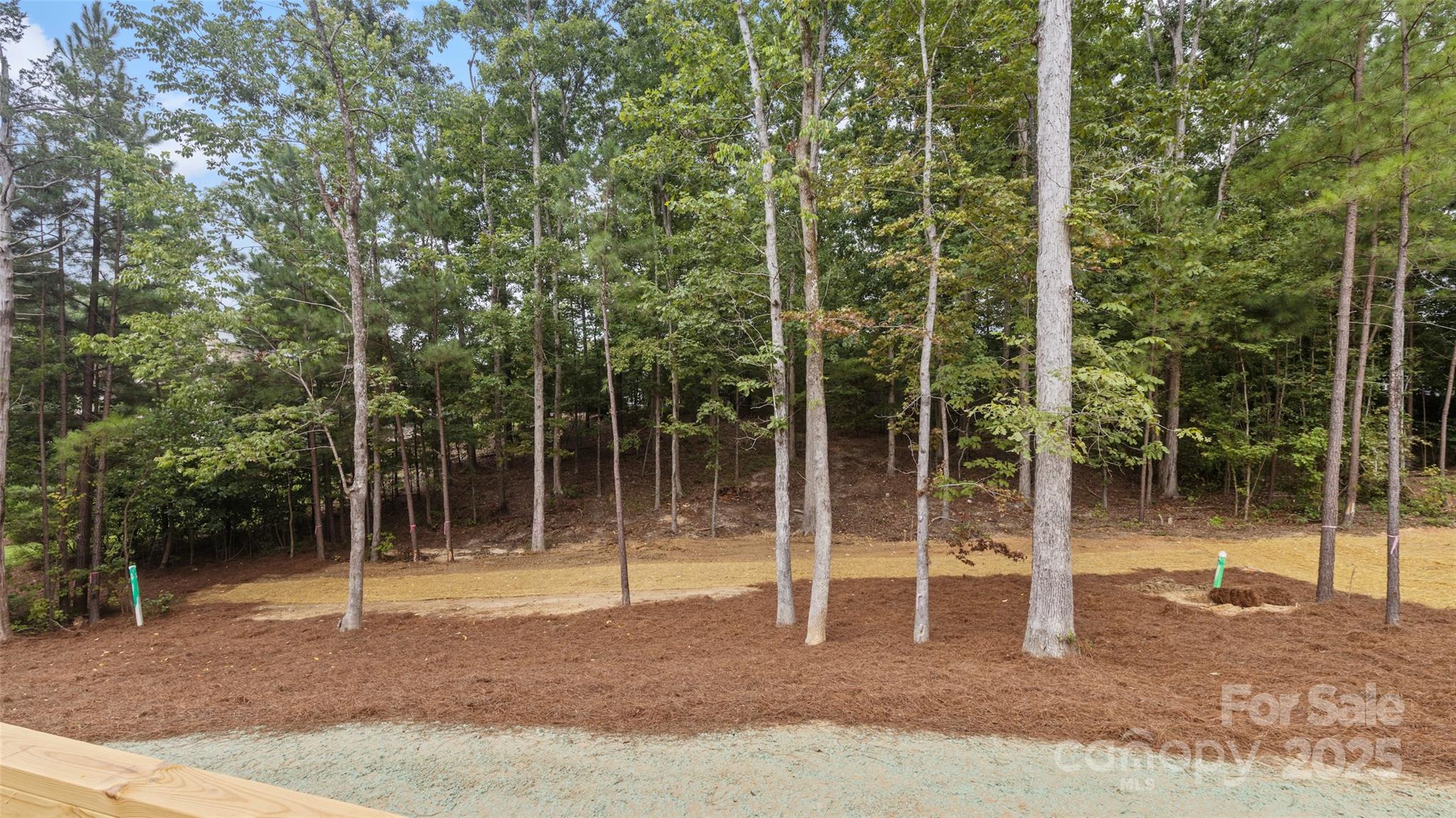 1028 Lyndon Drive Property Photo 37