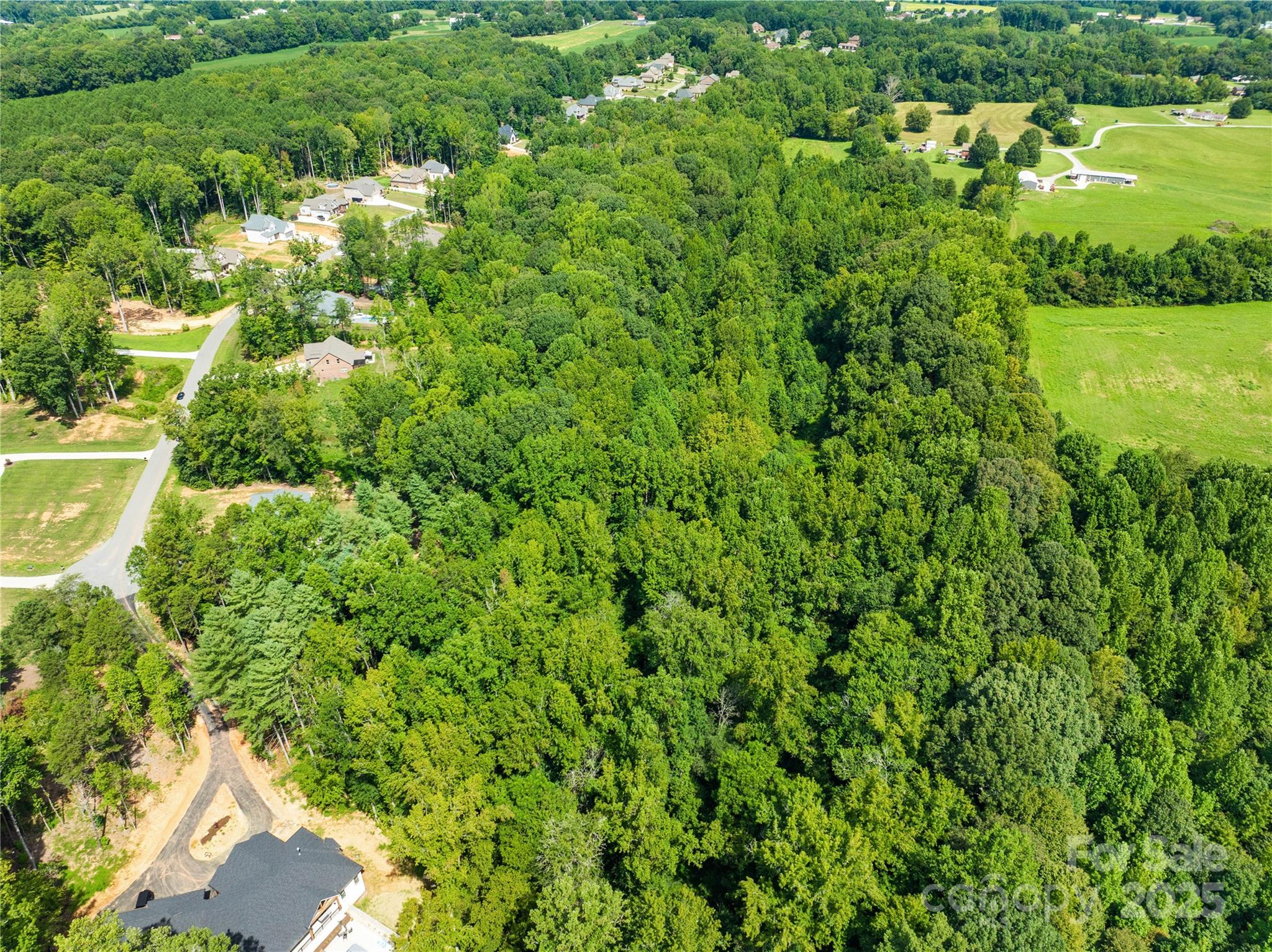 1099 Kapstone Crossing Property Photo 9