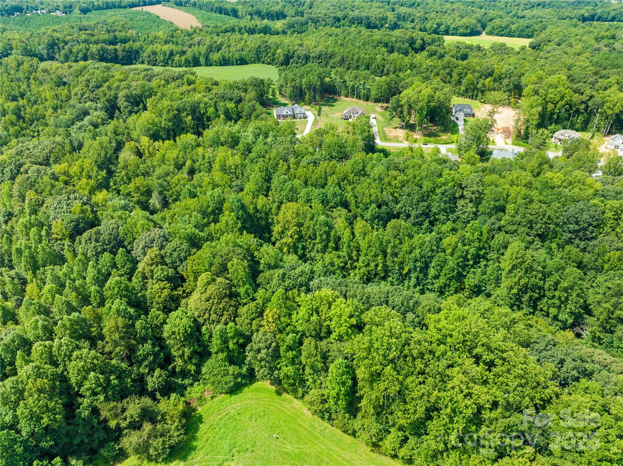 1099 Kapstone Crossing Property Photo 11