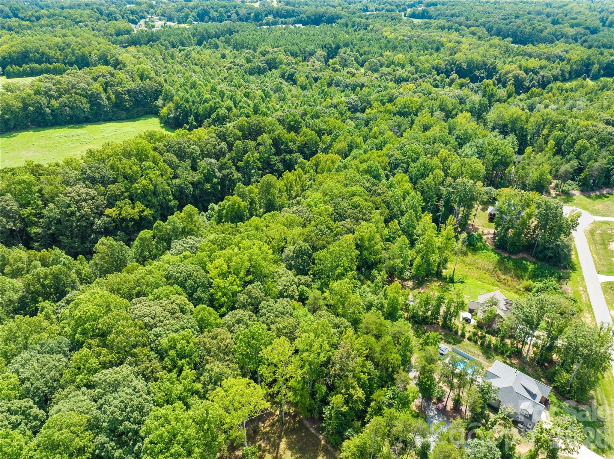 1099 Kapstone Crossing Property Photo 12