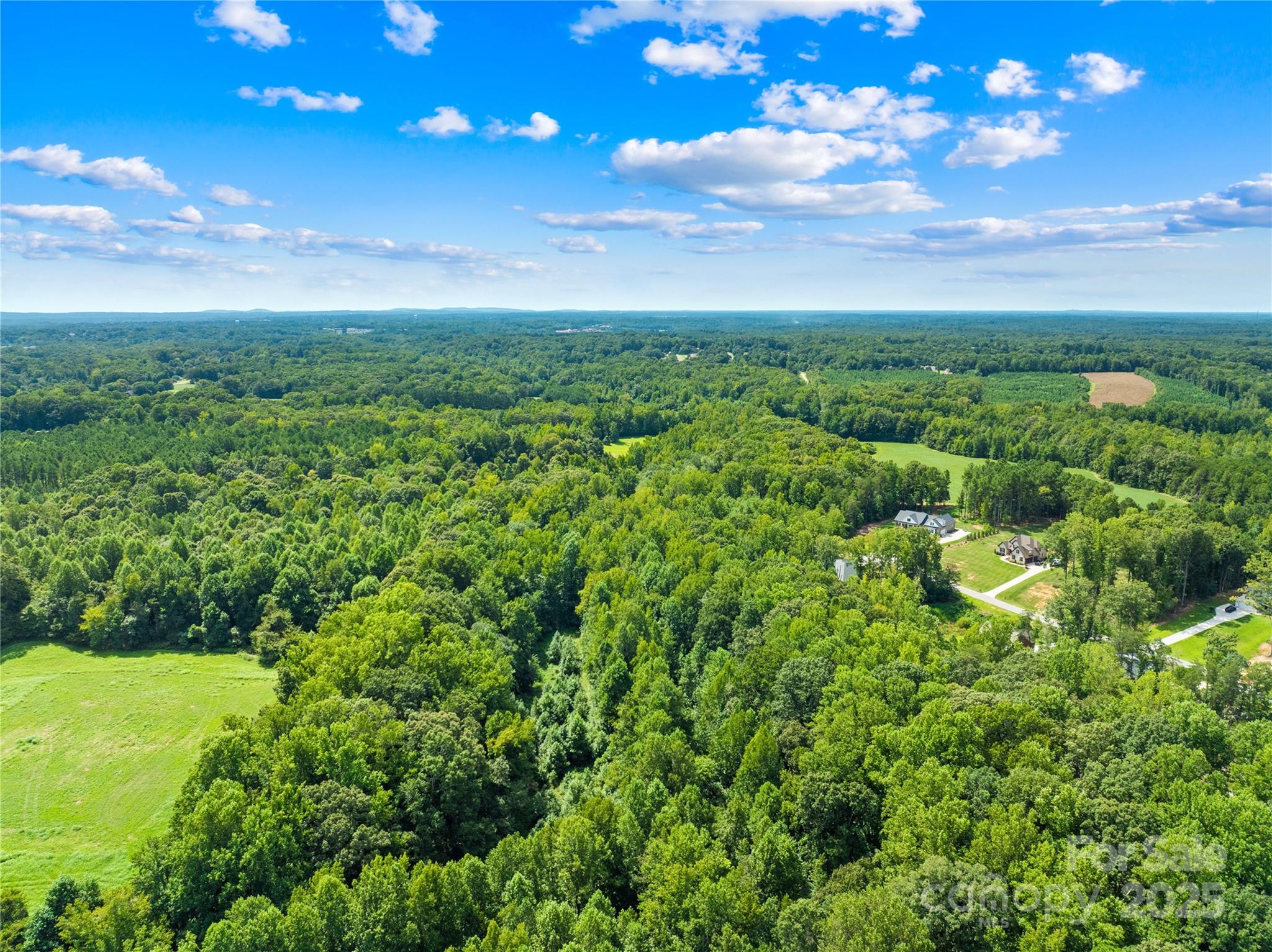 1099 Kapstone Crossing Property Photo 14