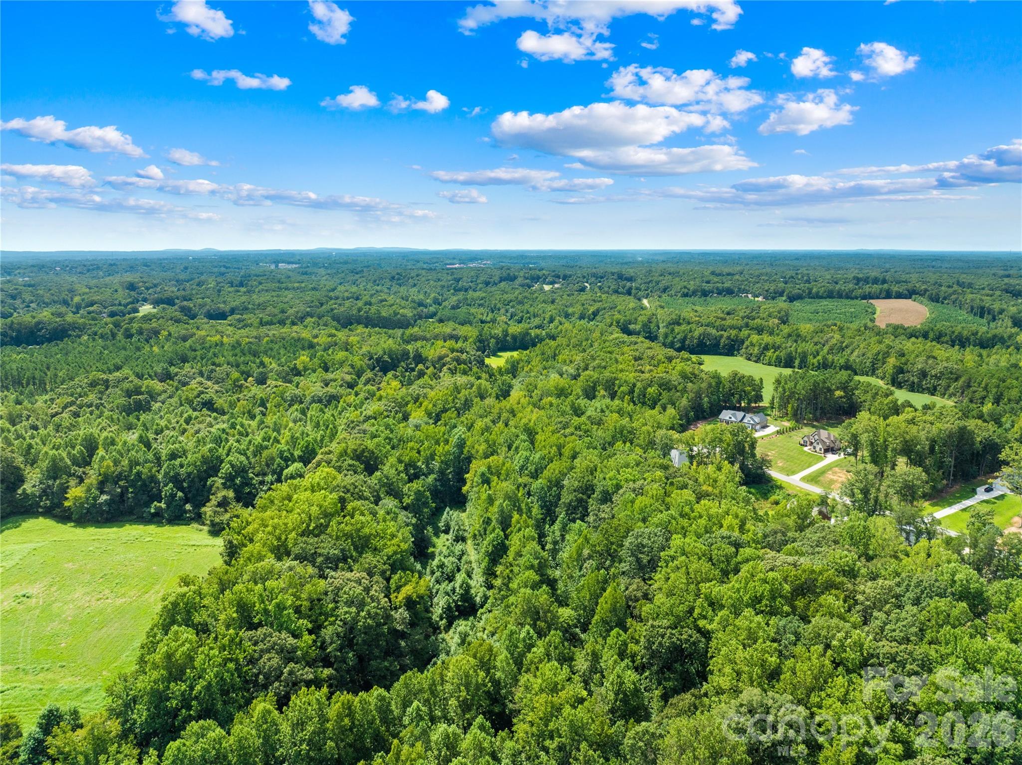1099 Kapstone Crossing Property Photo 14