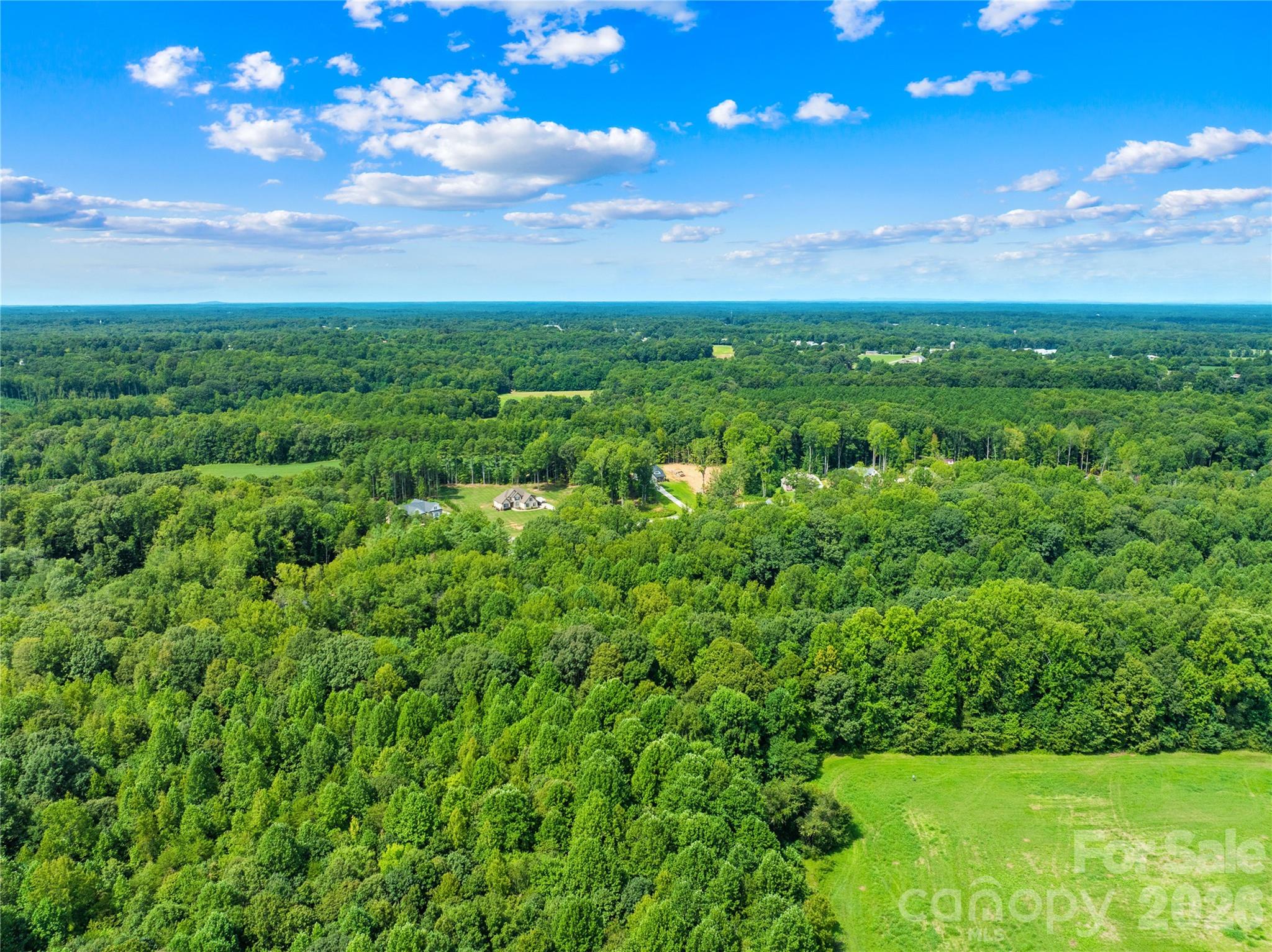 1099 Kapstone Crossing Property Photo 15