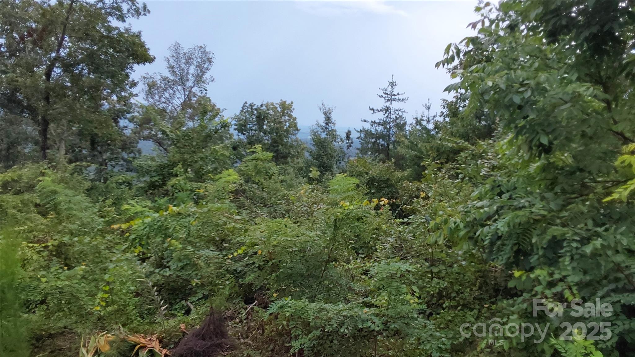 0 Brighton Drive Property Photo 1