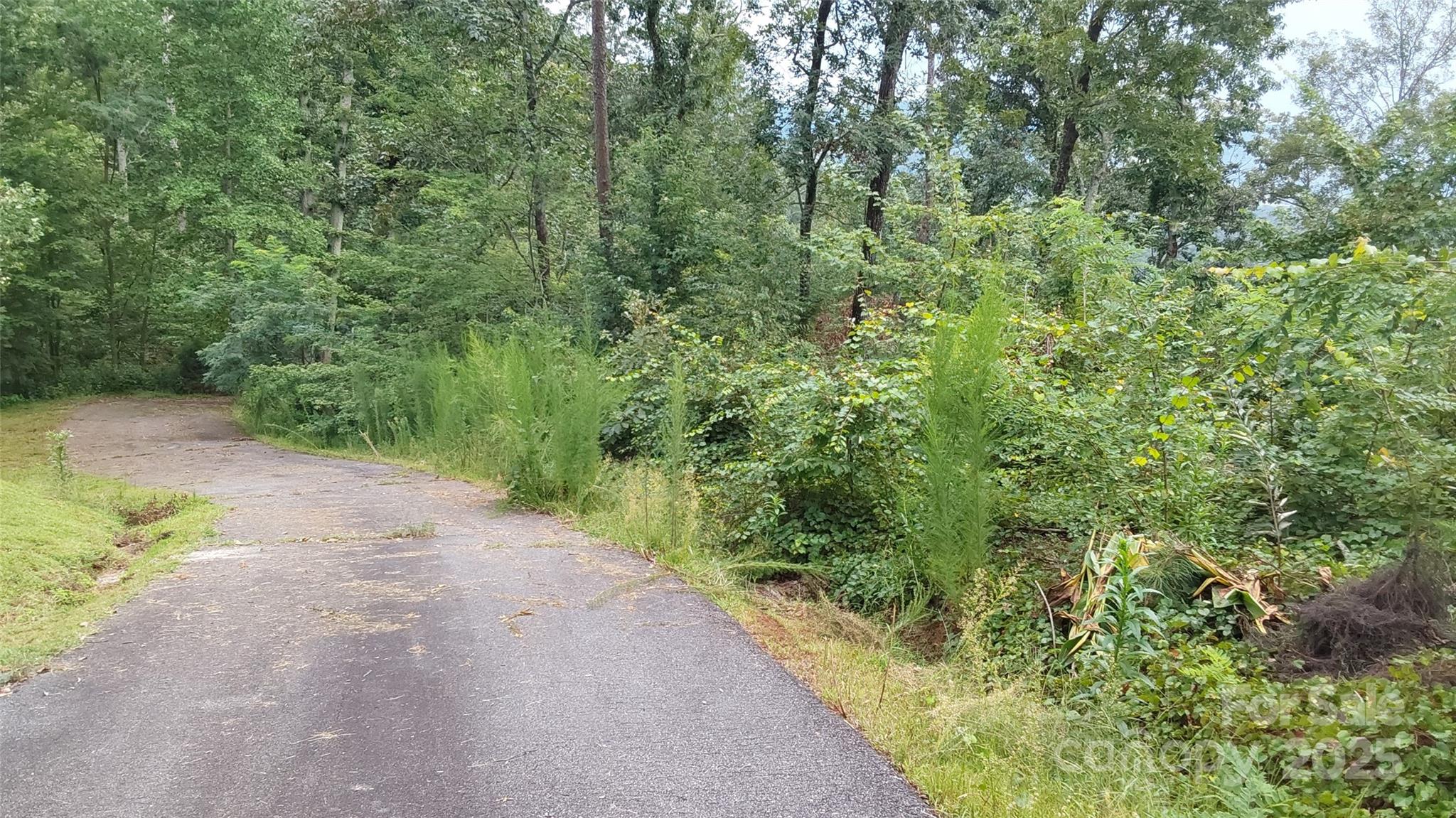 0 Brighton Drive Property Photo 2