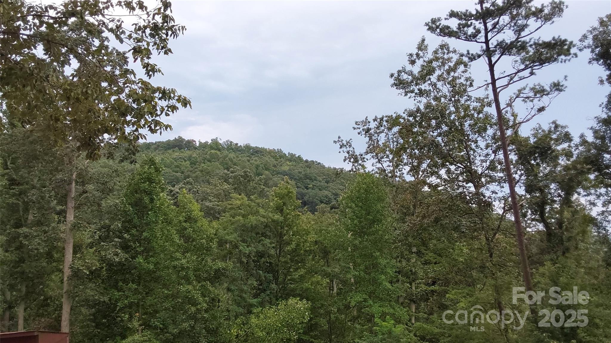 0 Brighton Drive Property Photo 3