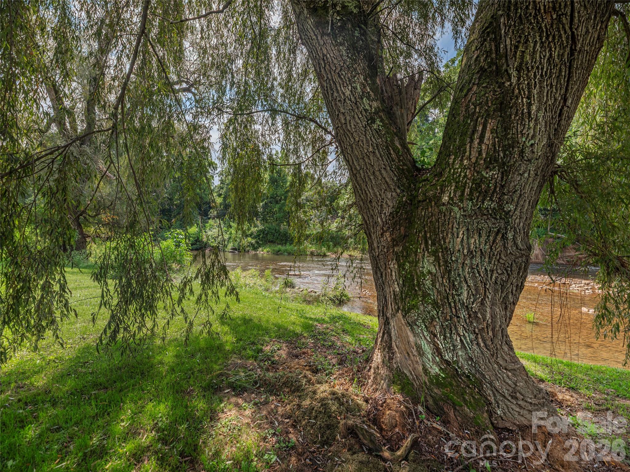 248 Max Thompson Road Property Photo 35