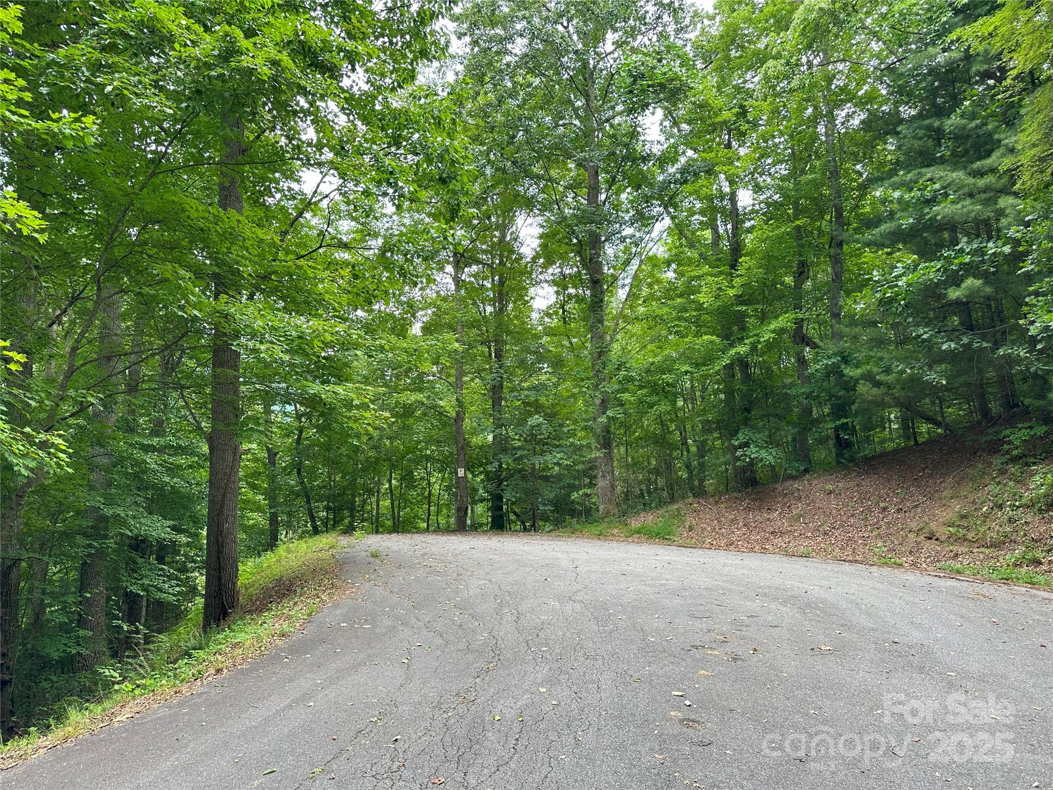000 Ruffed Grouse Lane