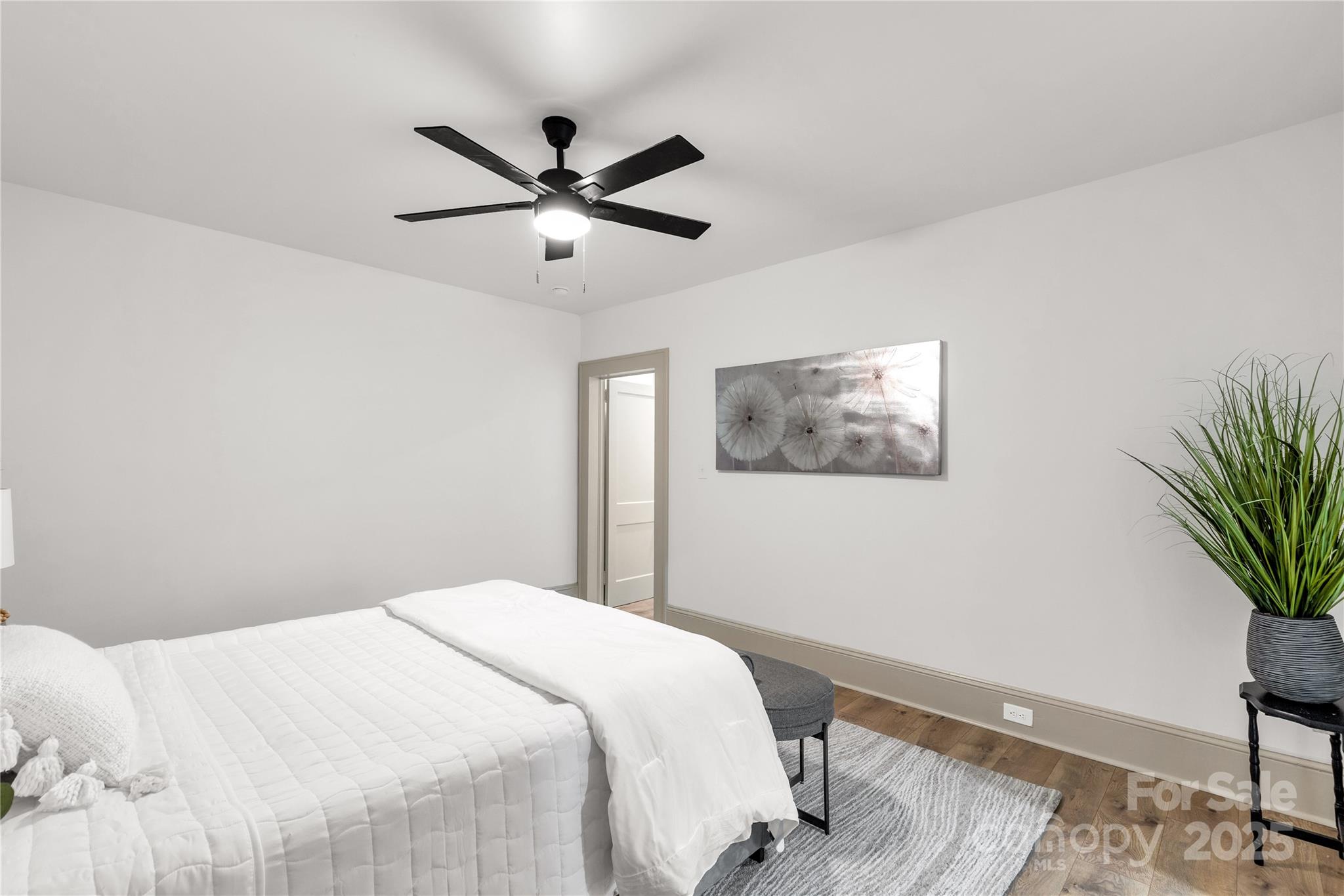 310 Elm Street Property Photo 16