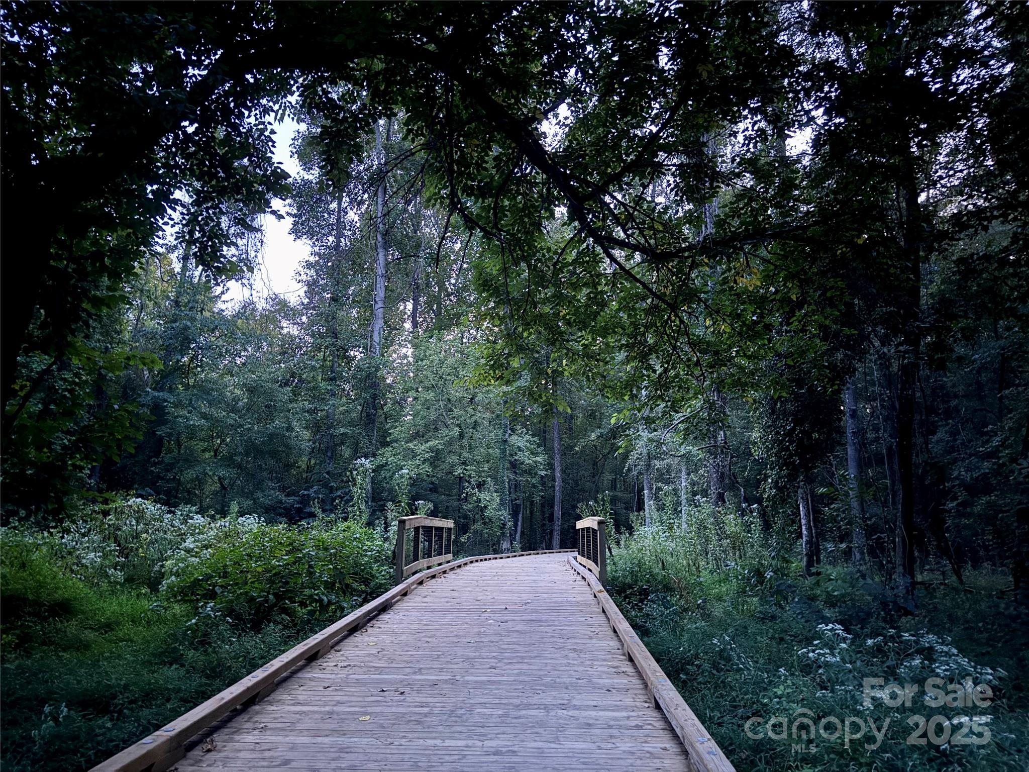 310 Elm Street Property Photo 40