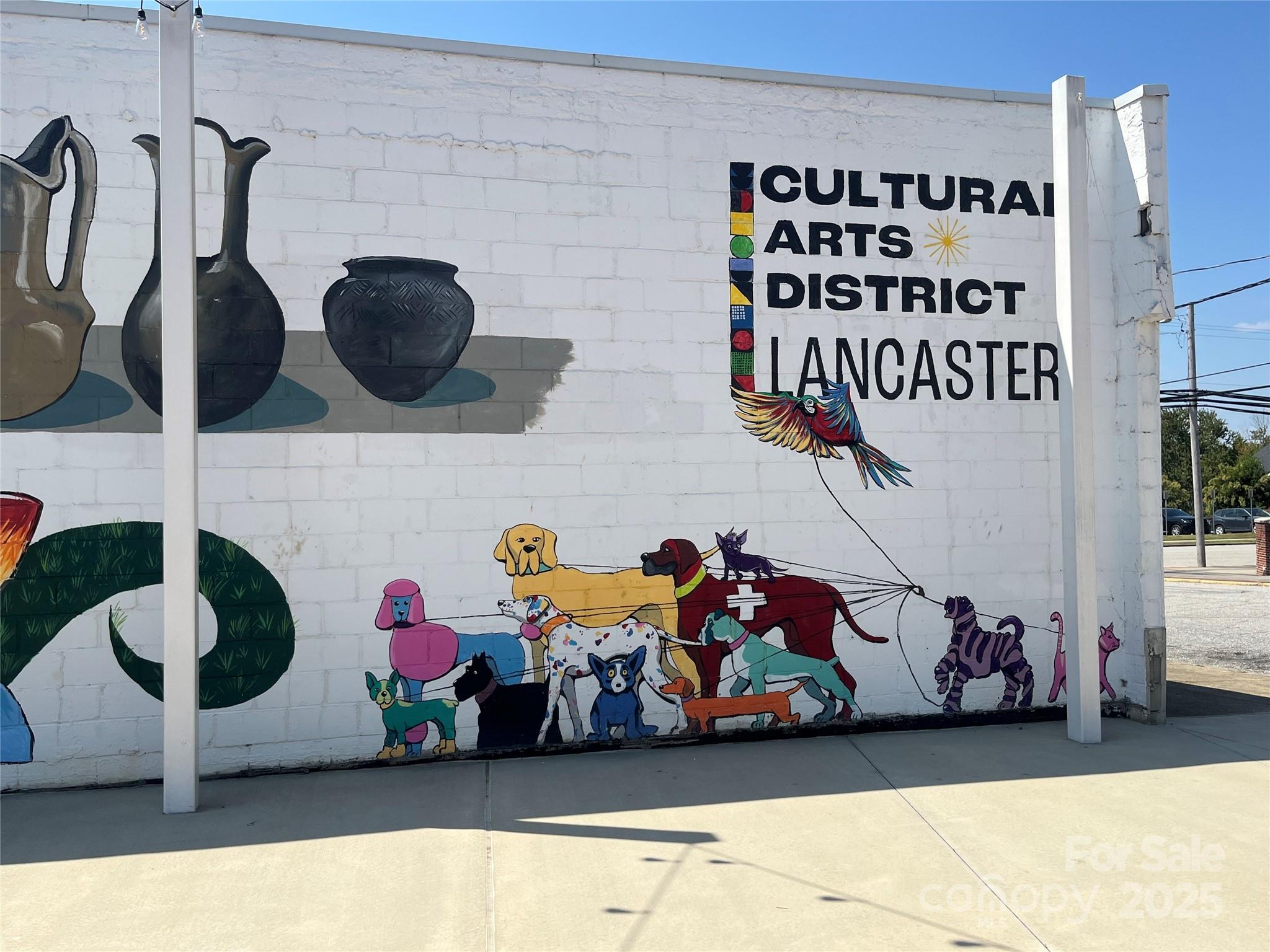 310 Elm Street Property Photo 42