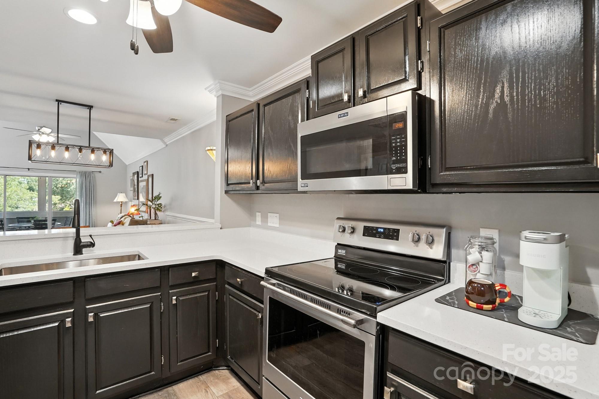 9225 Ravenwing Drive Property Photo 10