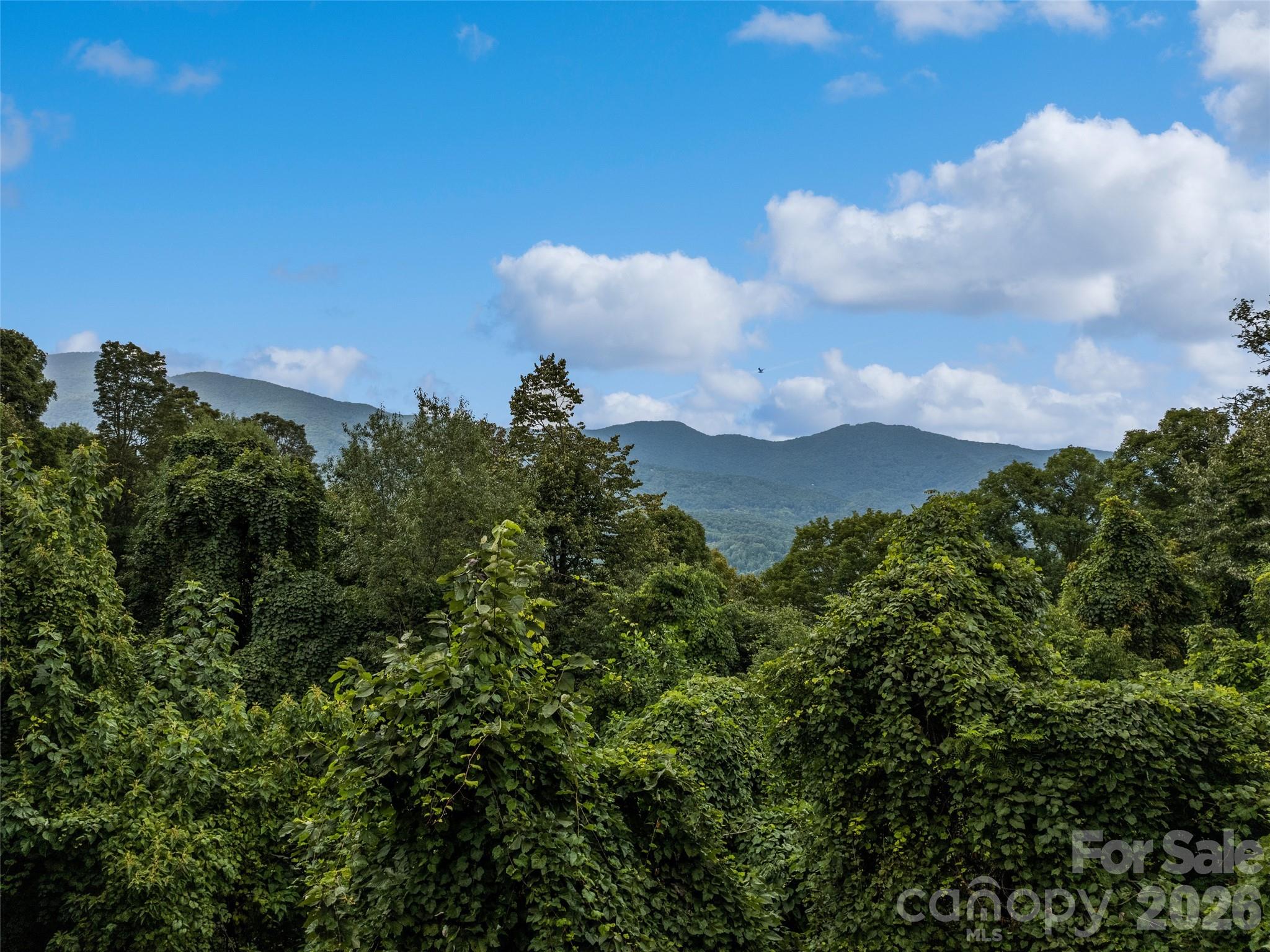 403 Malin Trail Property Photo 4