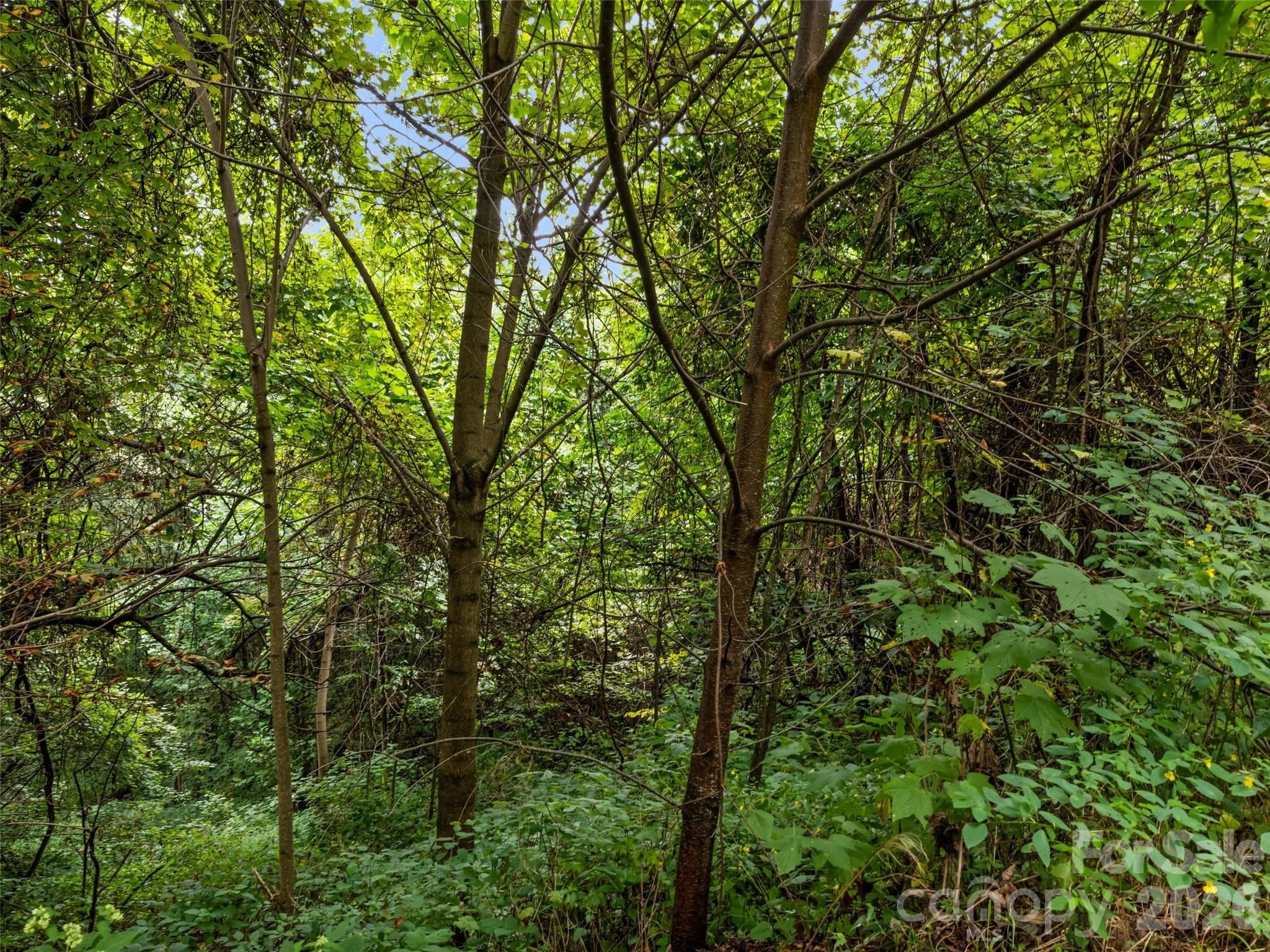 403 Malin Trail Property Photo 12