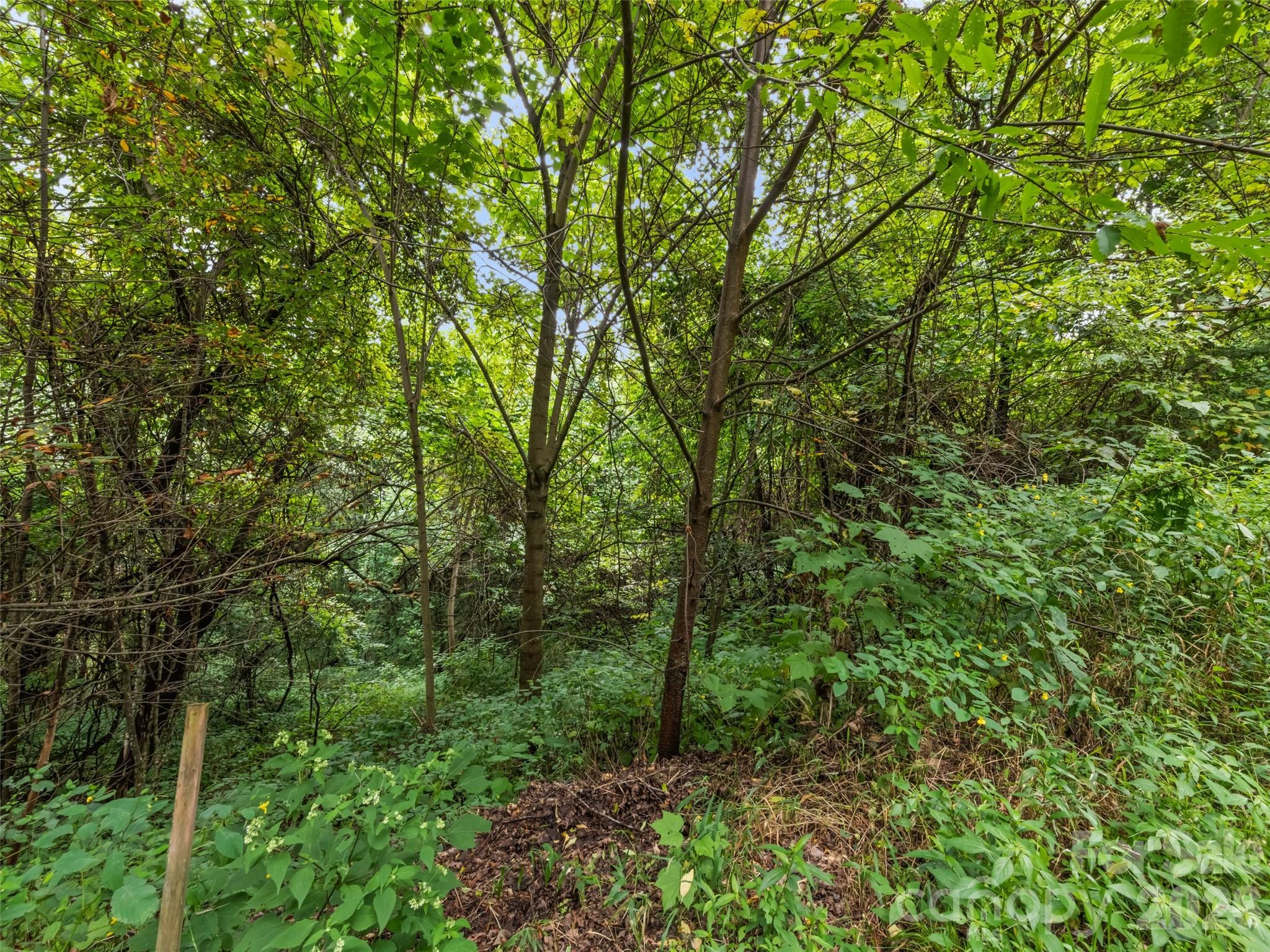 403 Malin Trail Property Photo 13