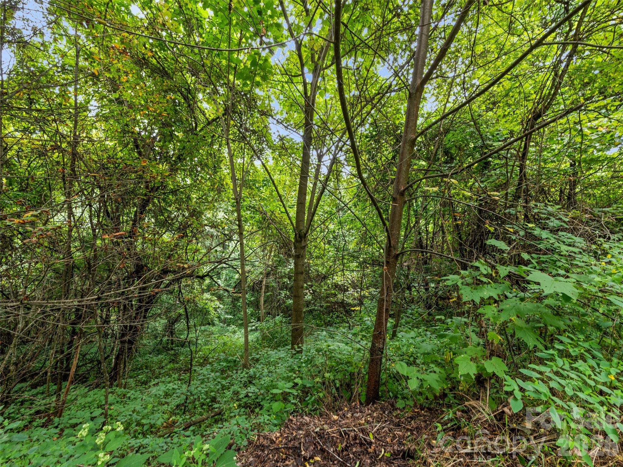 403 Malin Trail Property Photo 14