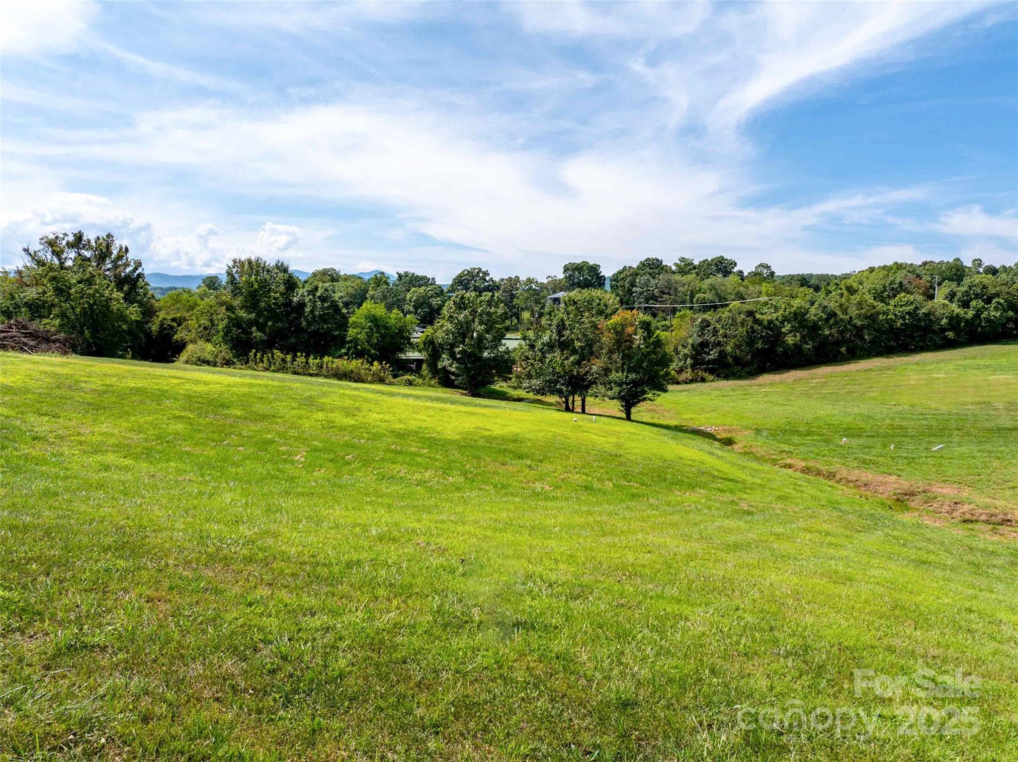 202 Soapstone Trail 68 Property Photo 6