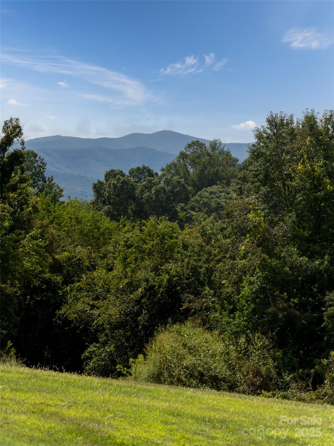 202 Soapstone Trail 68 Property Photo 9