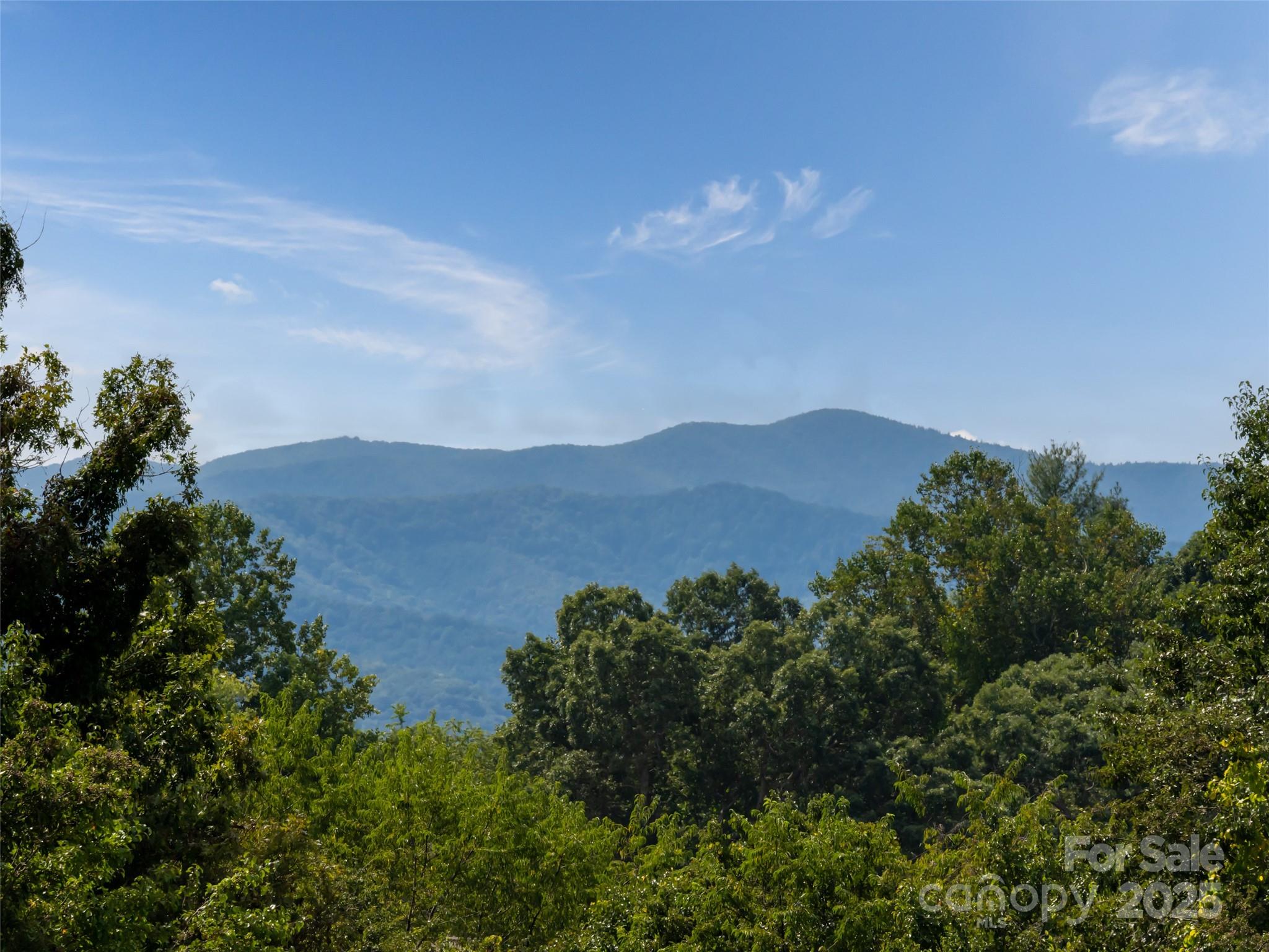 202 Soapstone Trail 68 Property Photo 10