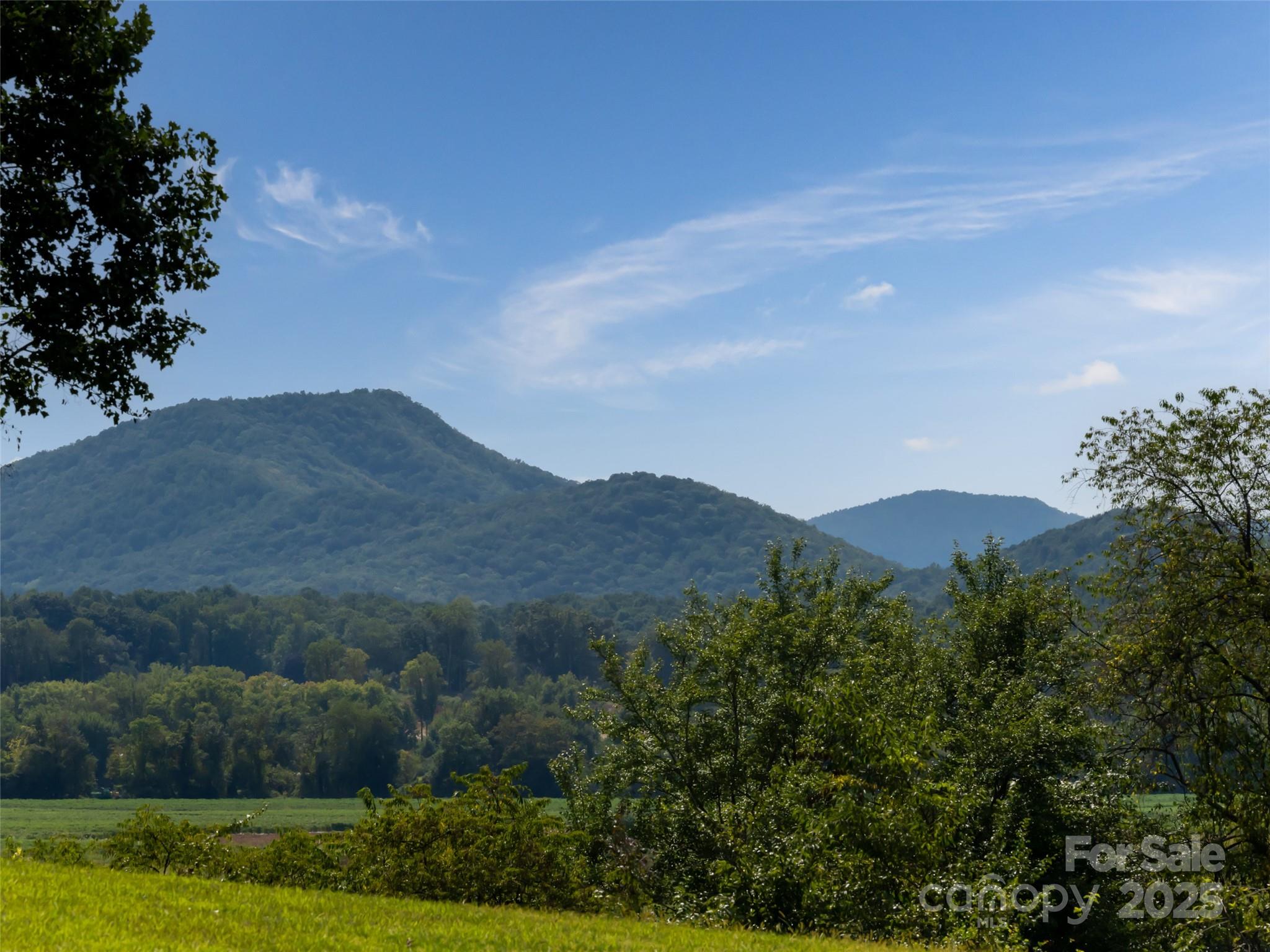 202 Soapstone Trail 68 Property Photo 11