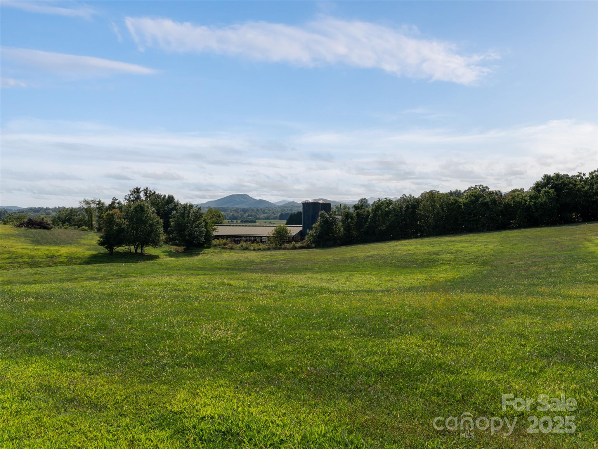 202 Soapstone Trail 68 Property Photo 13