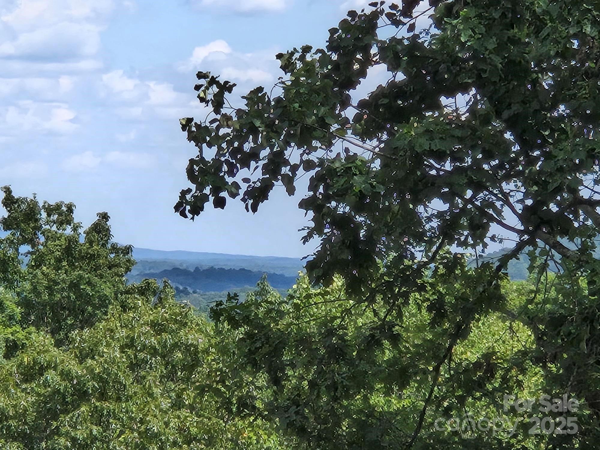 Lot 34 Hawks Nest Trail Property Photo 1